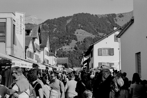 Alpine cow Festival